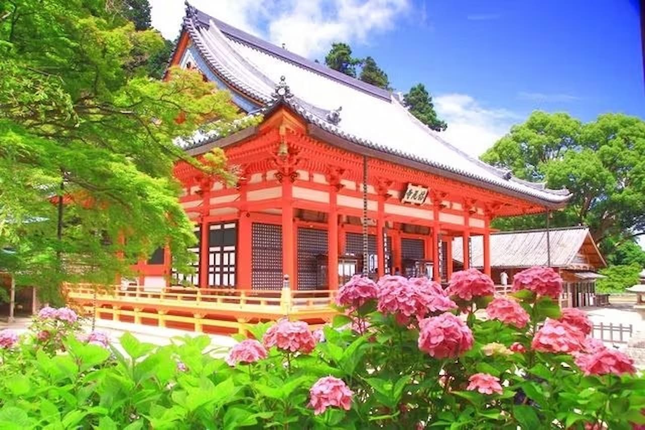 Katsuo-ji Temple Ticket - تصویر اصلی