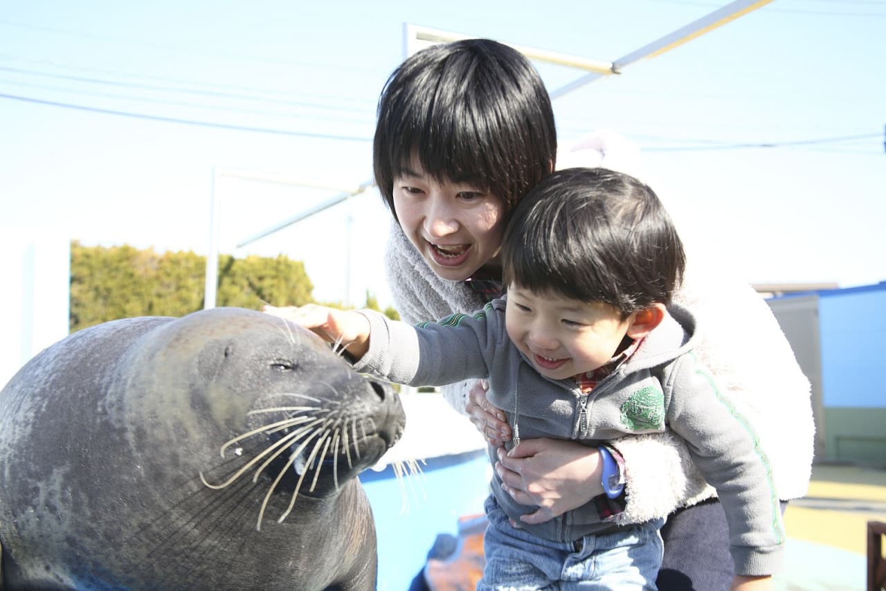 Minamichita Beach Land and Minamichita Toy Kingdom Ticket - تصویر 2