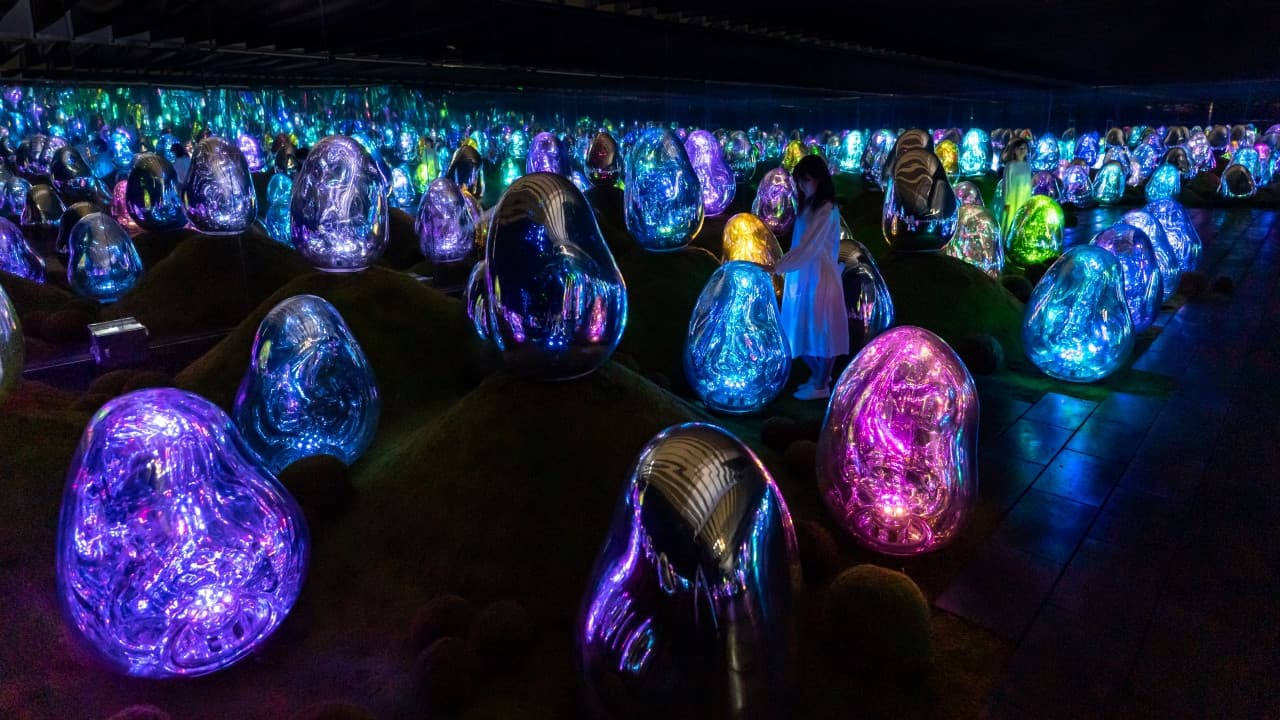teamLab Planets TOKYO Ticket - تصویر 4