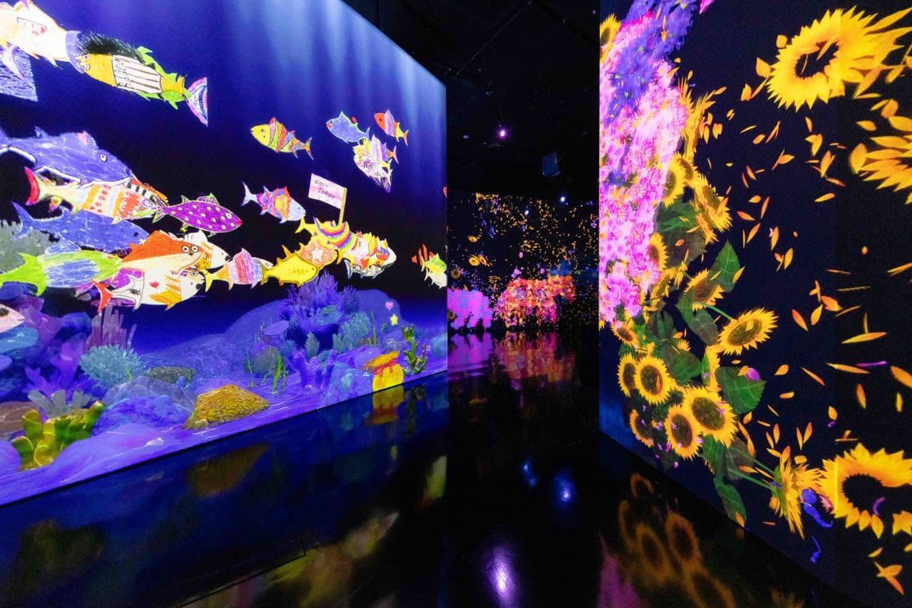 ArtScience Museum Ticket - تصویر 6