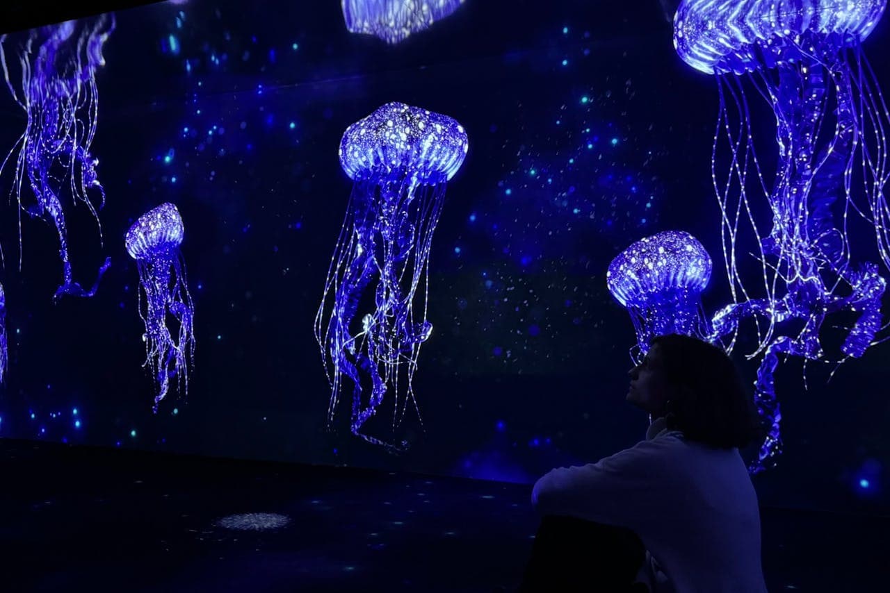 Oceanário de Lisboa Ticket - تصویر 15