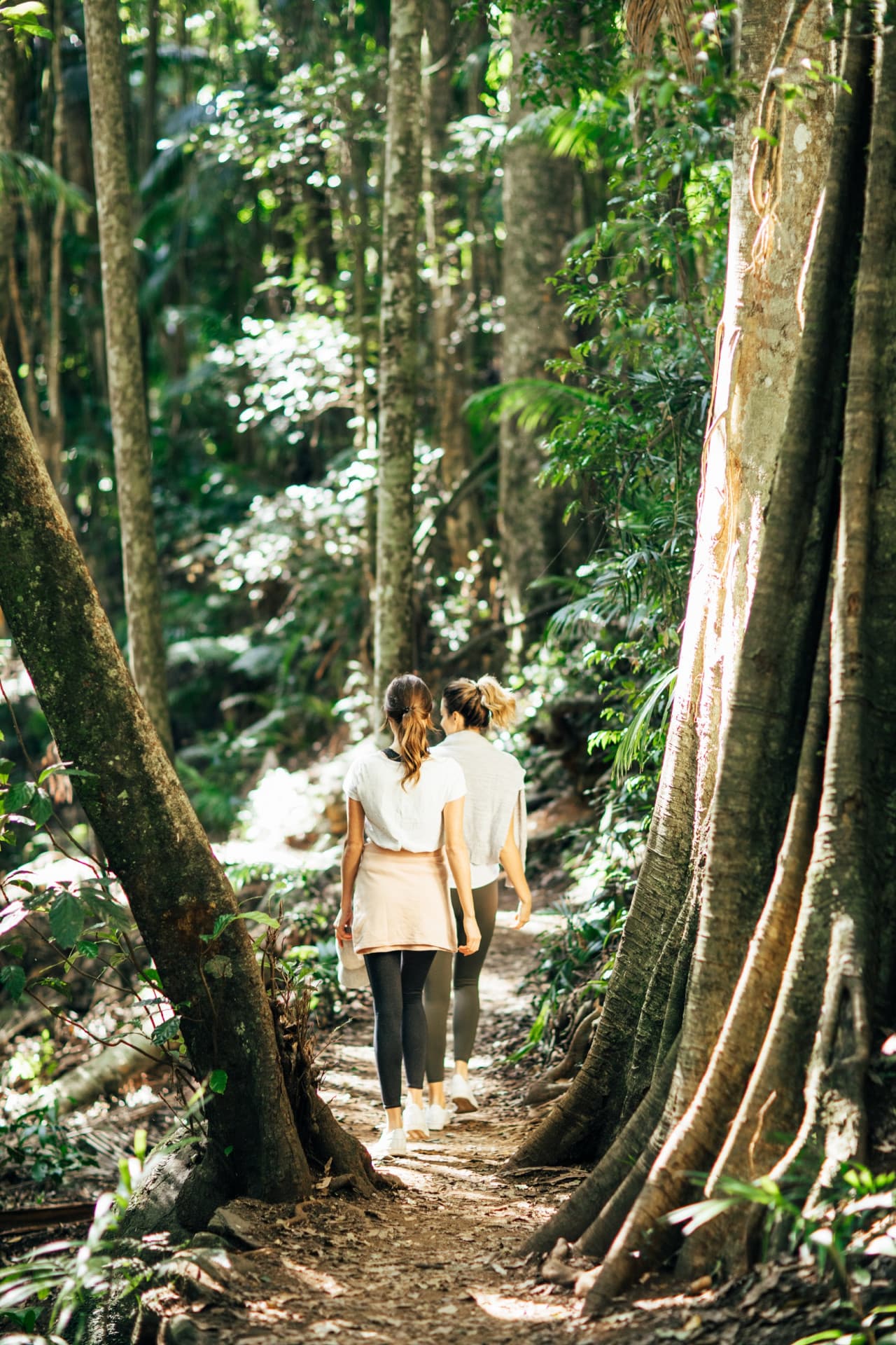 Springbrook National Park Tour: Natural Bridge and Waterfalls - تصویر 12
