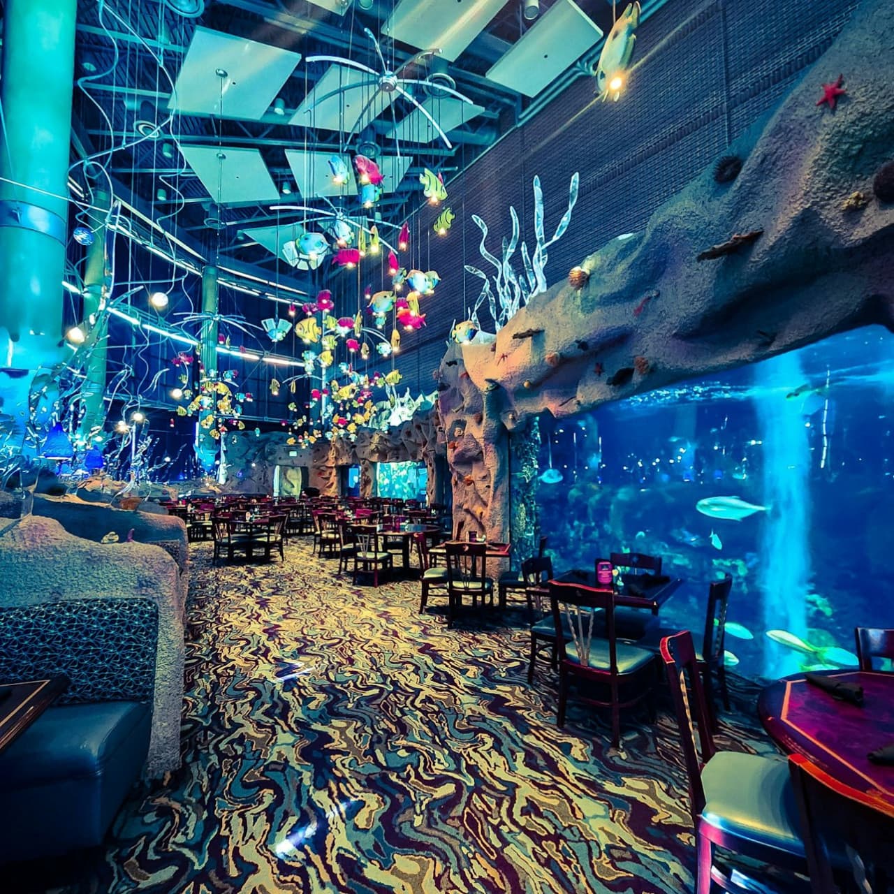 Downtown Aquarium Denver Ticket - تصویر 7