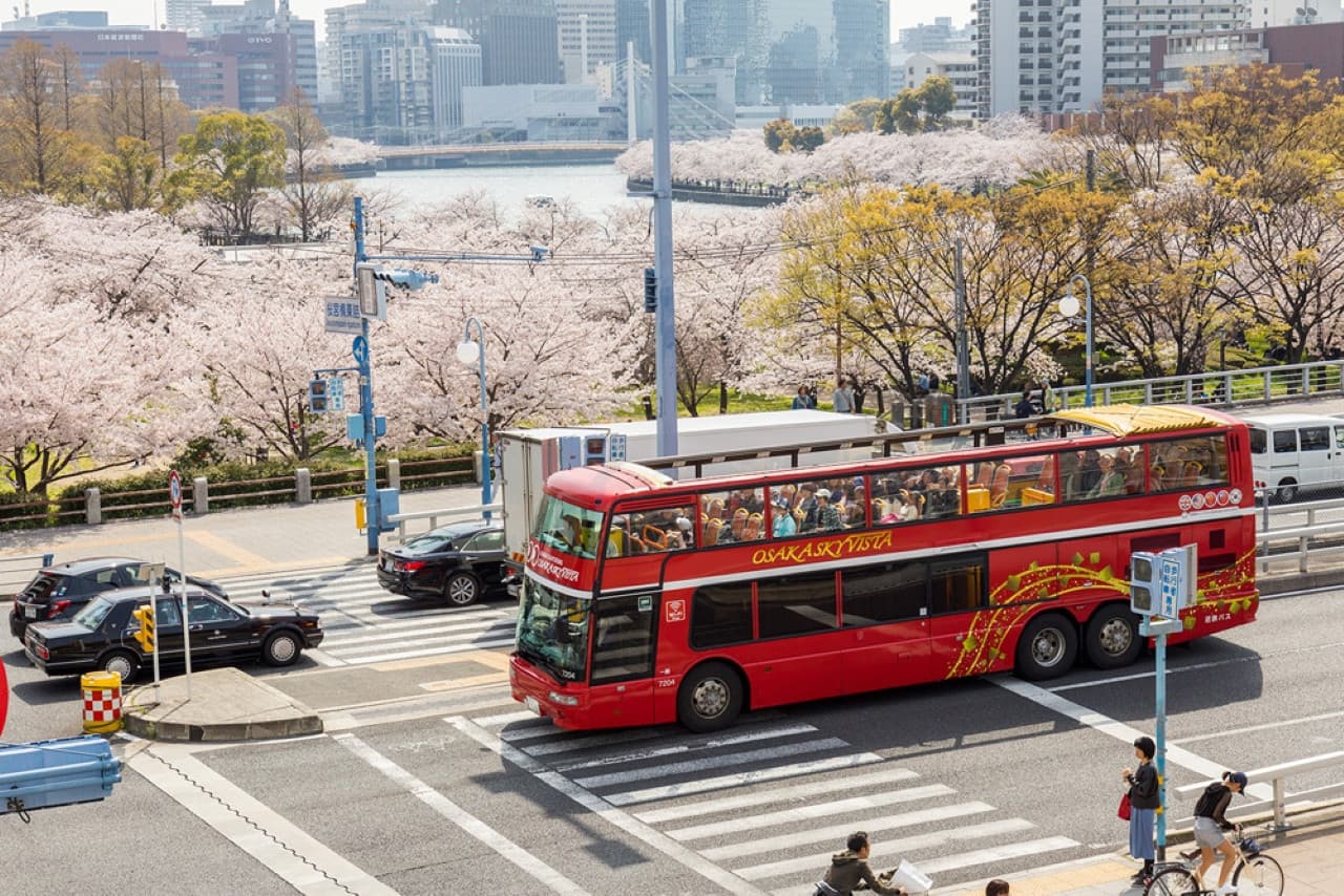 Osaka Sky Vista or Nani Wonder Sightseeing Bus Tour - تصویر 16