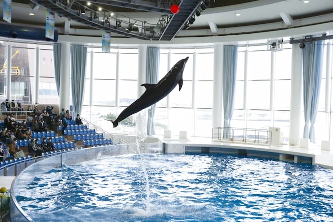 Aqua World Ibaraki Prefectural Oarai Aquarium Ticket - تصویر 6