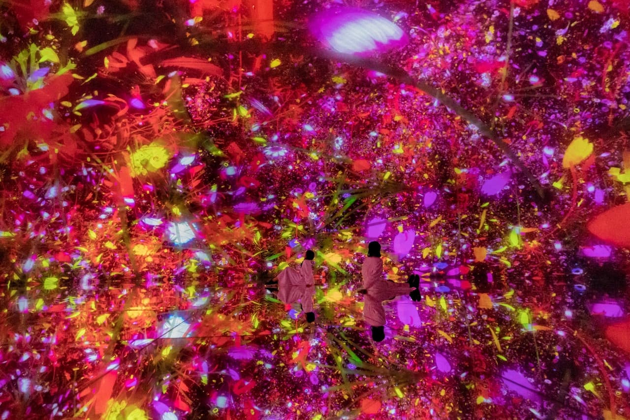 teamLab Planets TOKYO Ticket - تصویر 6
