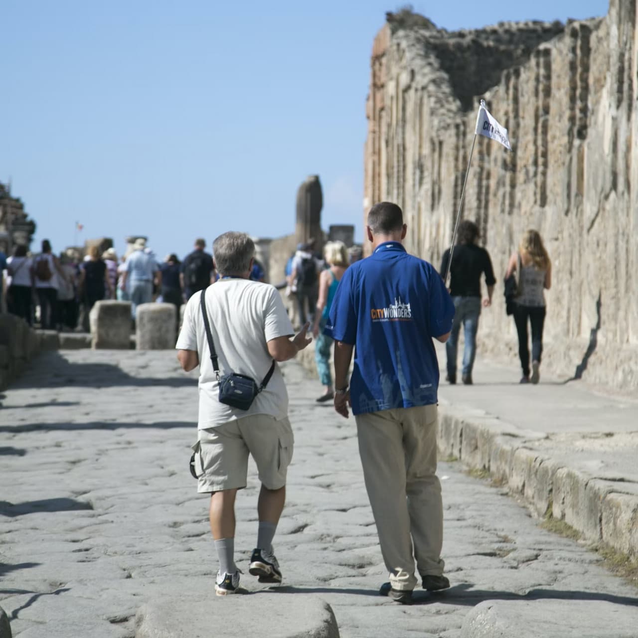 Pompeii & Mount Vesuvius: Entrance + Roundtrip from Rome - تصویر 3