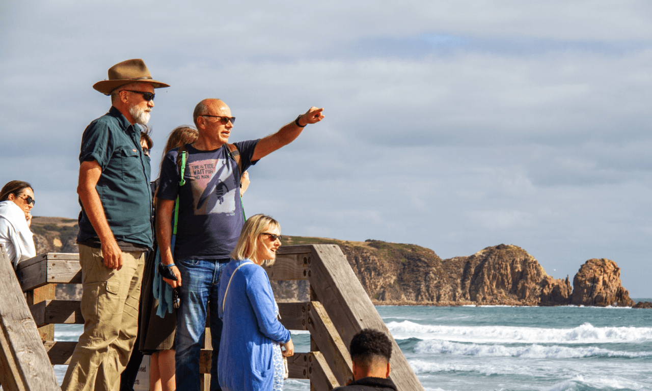 Penguins Express Tour from Melbourne - تصویر 6