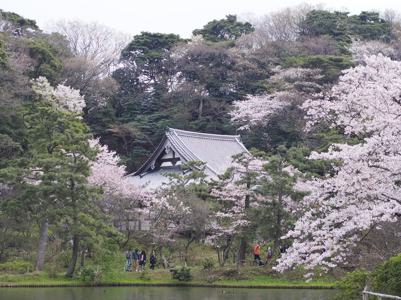 Sankeien Garden Ticket - تصویر 5