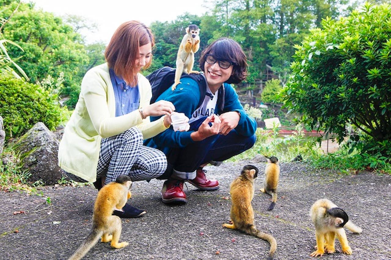 Izu Shaboten Zoo Ticket - تصویر 3