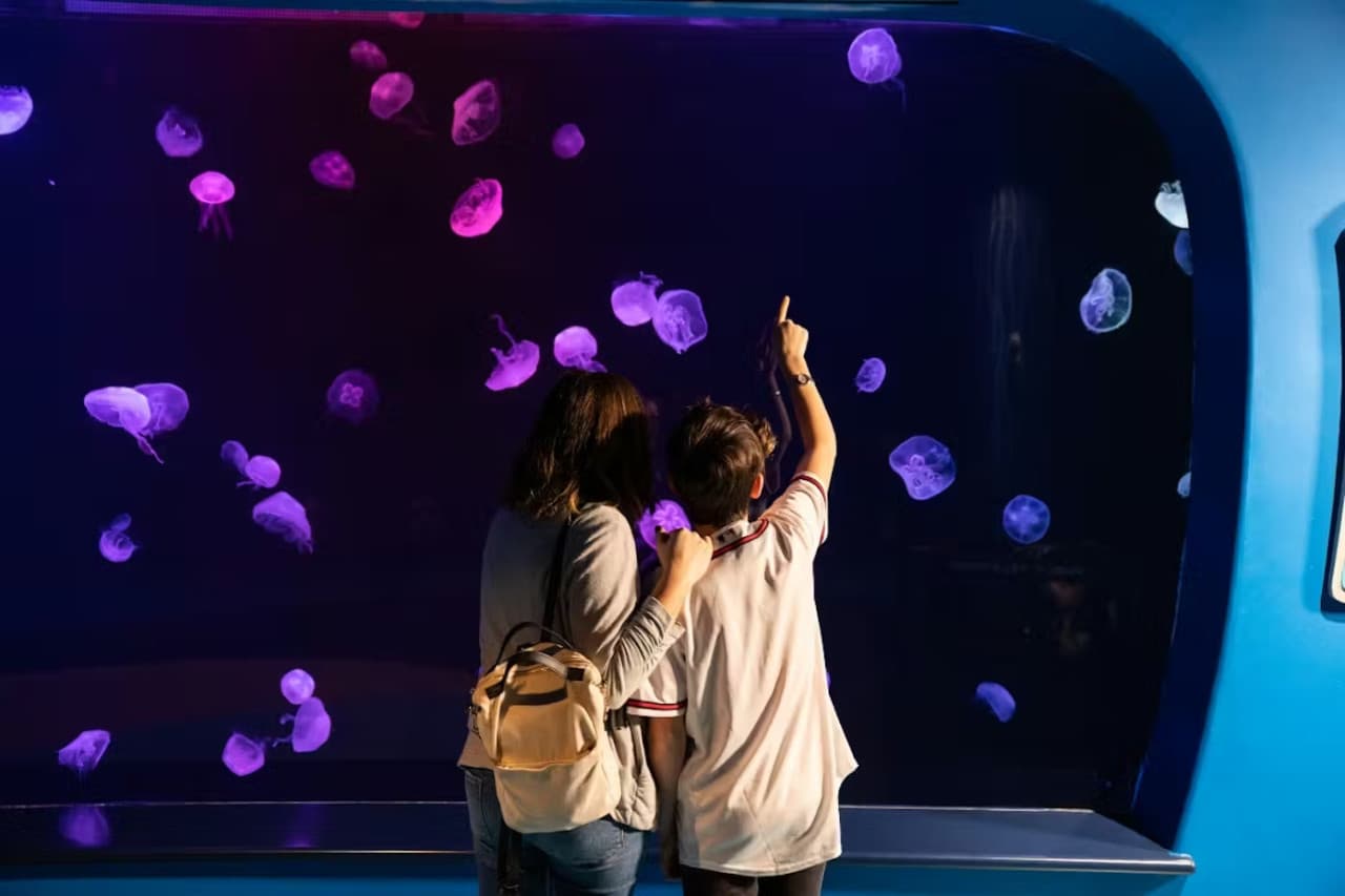 Georgia Aquarium: Fast Track Ticket - تصویر 12