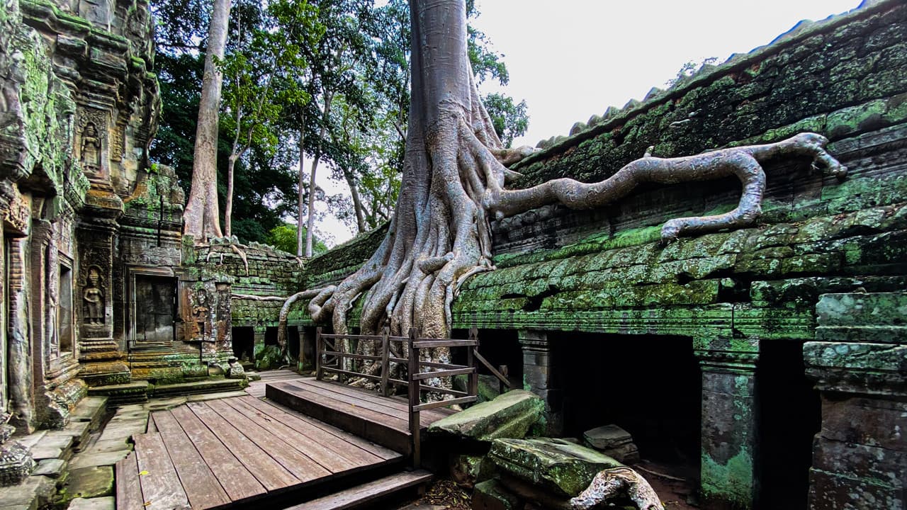 Angkor Temples Sunrise Tour by Tuk-Tuk - تصویر 4