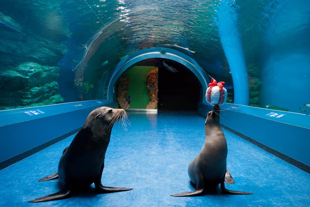 Maxell Aqua Park Shinagawa - تصویر 2