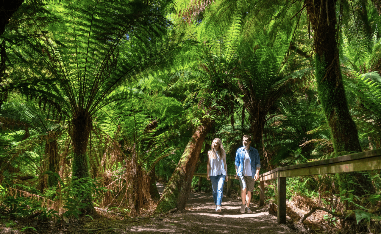 Great Ocean Road Tour from Melbourne - تصویر 7