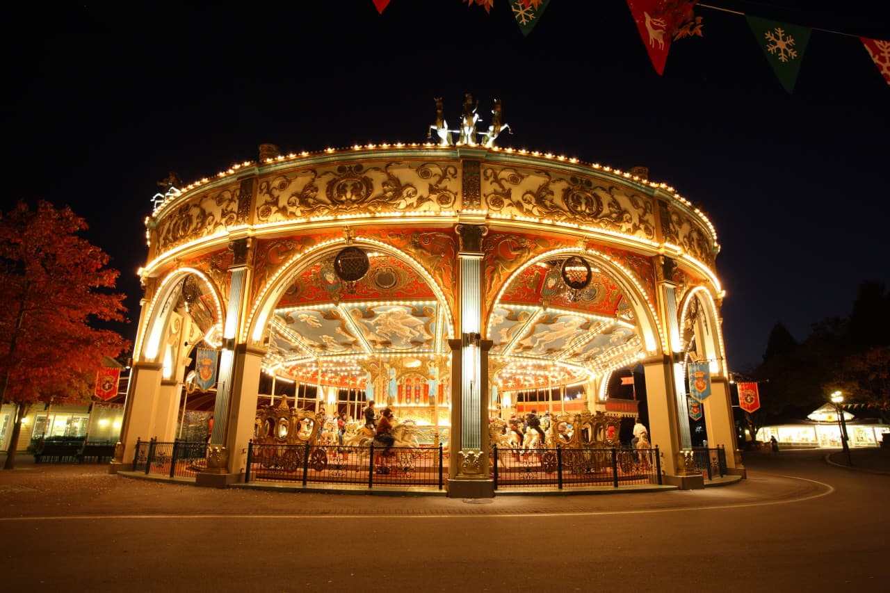 Everland Theme Park with Round Trip Transfers from Seoul - تصویر 17