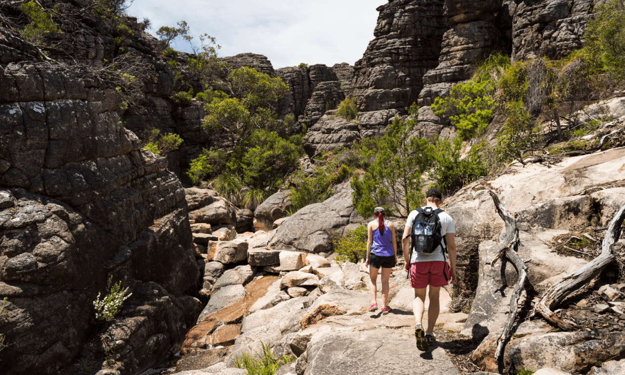 Grampians National Park Day Tour from Melbourne - تصویر 2