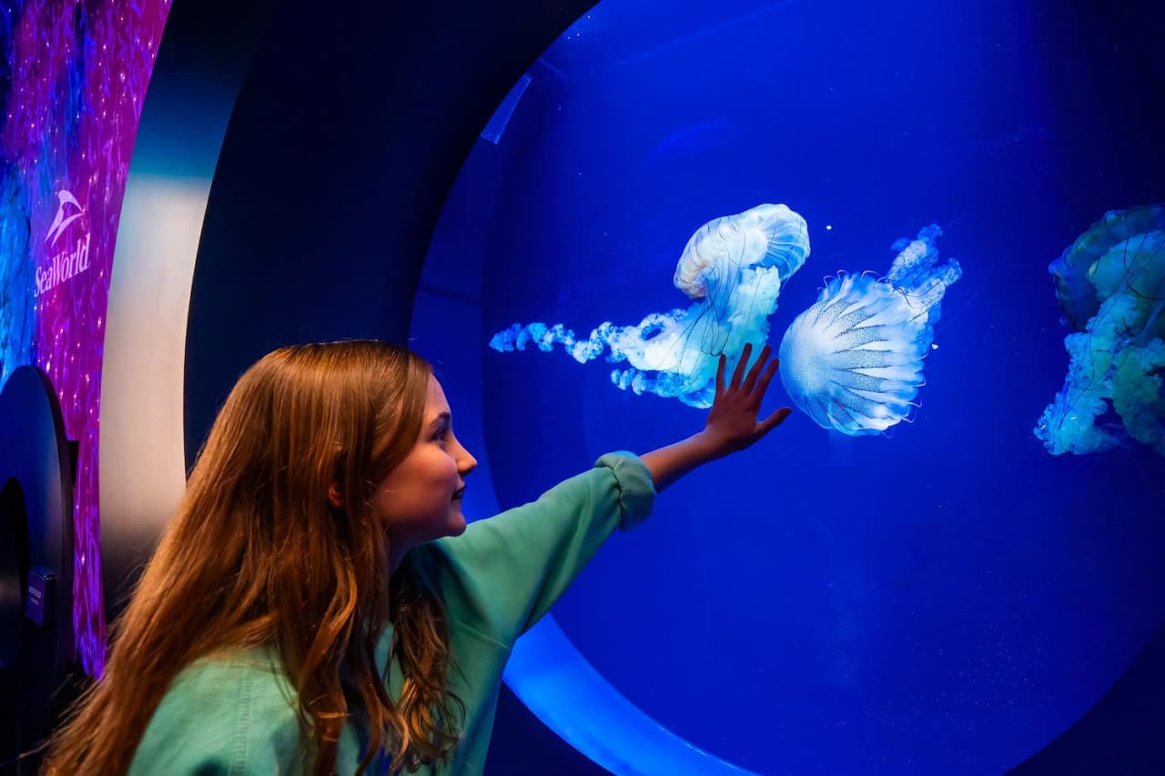 SeaWorld San Diego Ticket: Direct Entry - تصویر 6