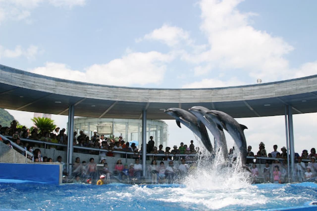 Oita Marine Palace Aquarium Umitamago Ticket - تصویر 8