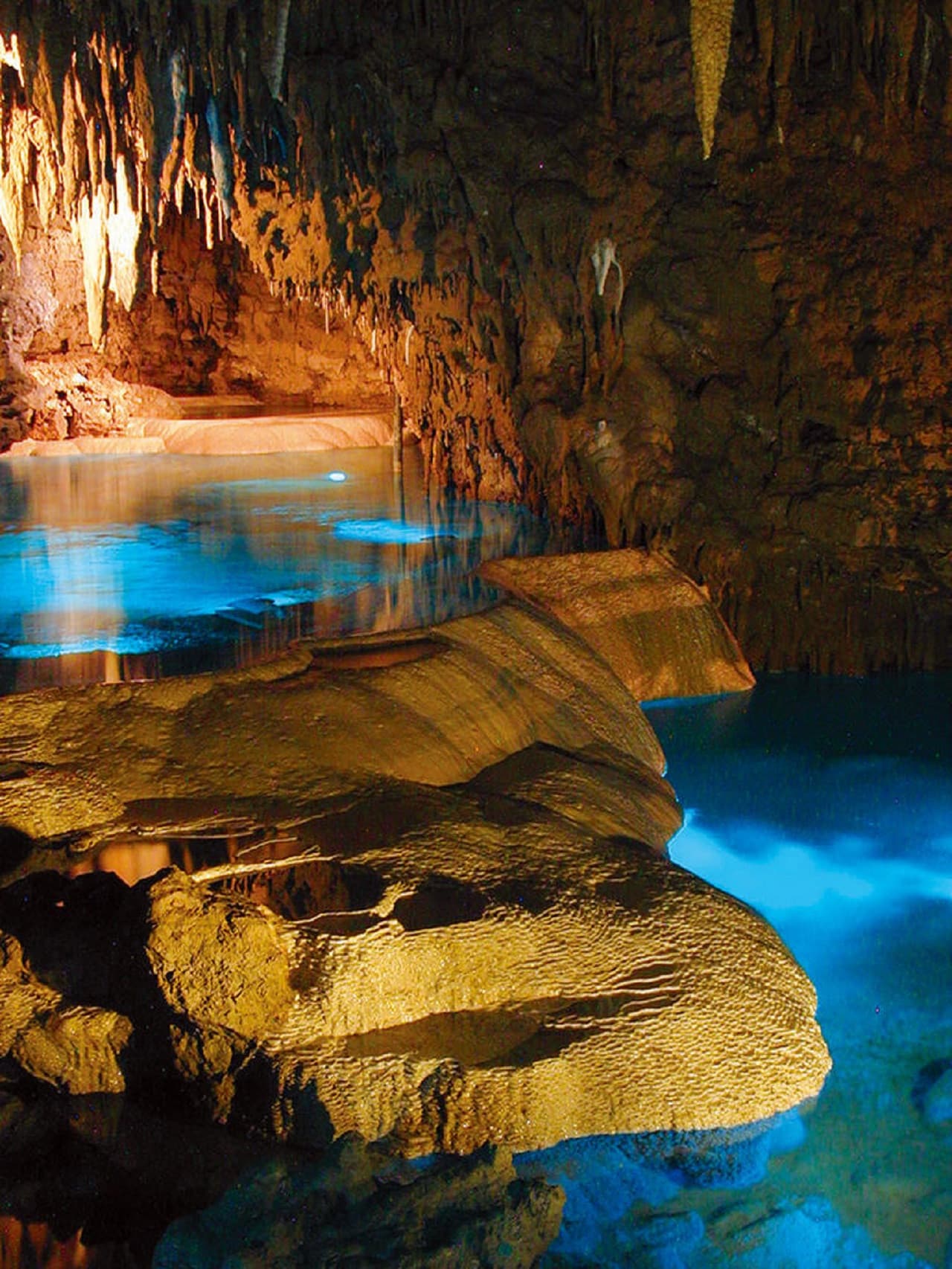 Okinawa World Pass - تصویر 7