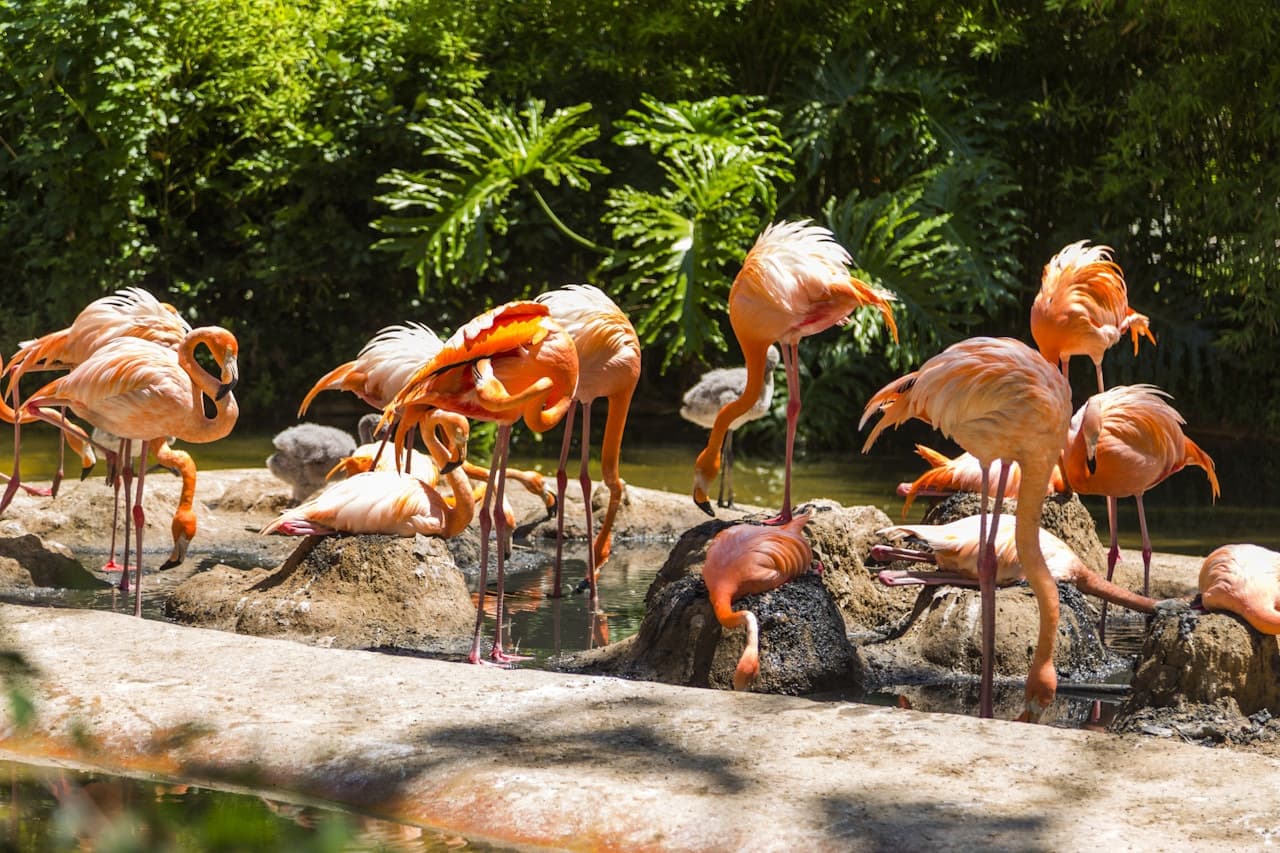 Barcelona Zoo - تصویر 2
