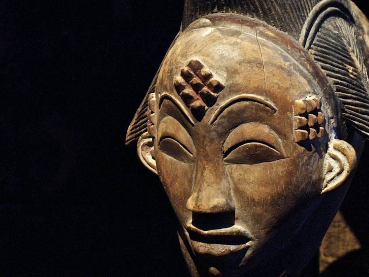 Musée du Quai Branly - Jacques Chirac - تصویر 4