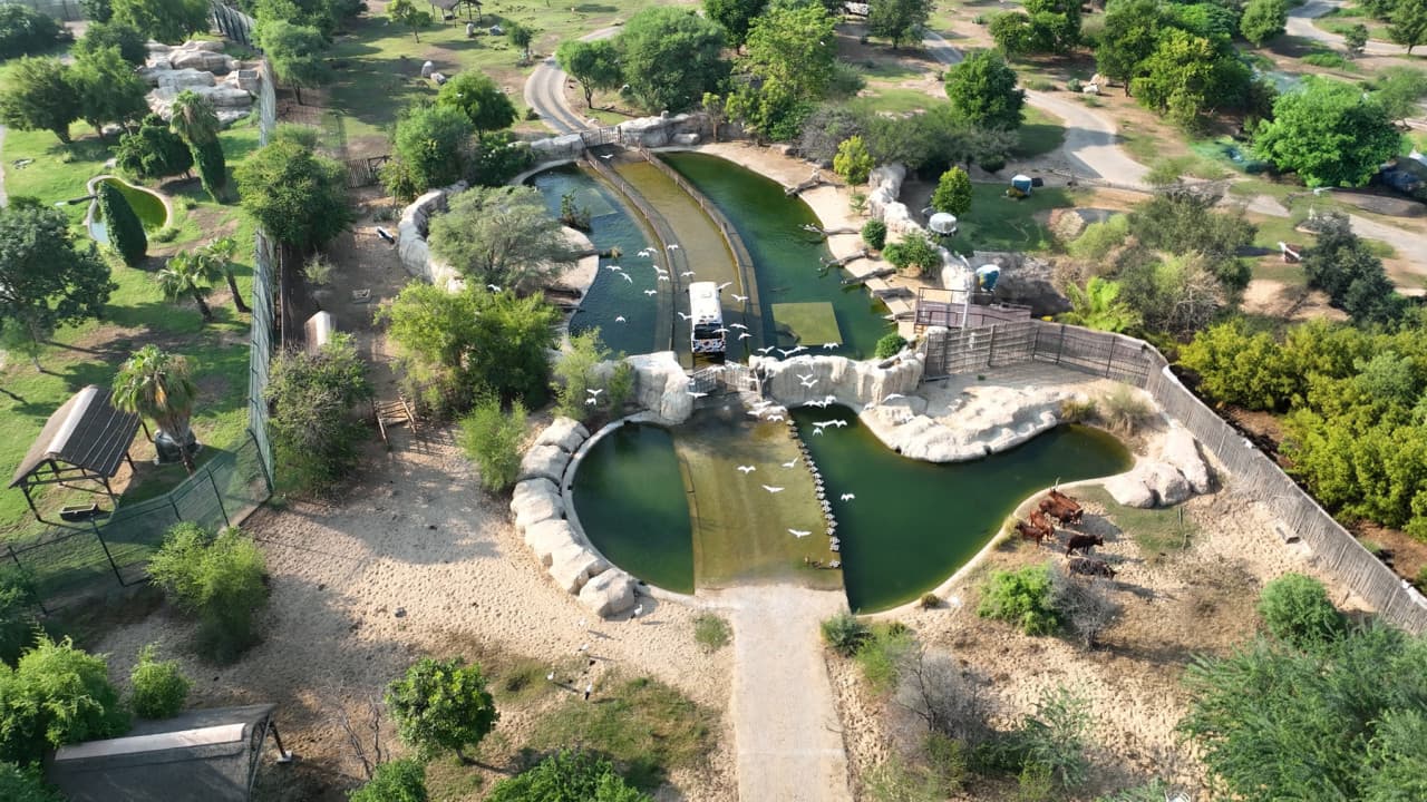 Dubai Safari Park Ticket - تصویر 30