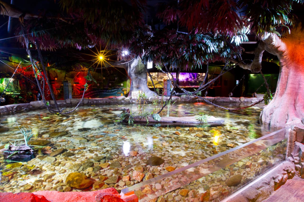 SEA LIFE Melbourne Aquarium Direct Entry Ticket - تصویر 16