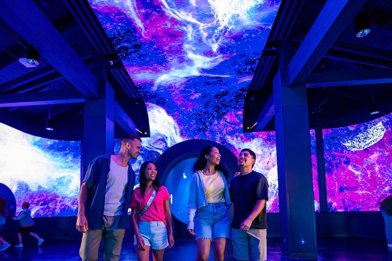 SeaWorld San Diego Ticket: Direct Entry - تصویر 5