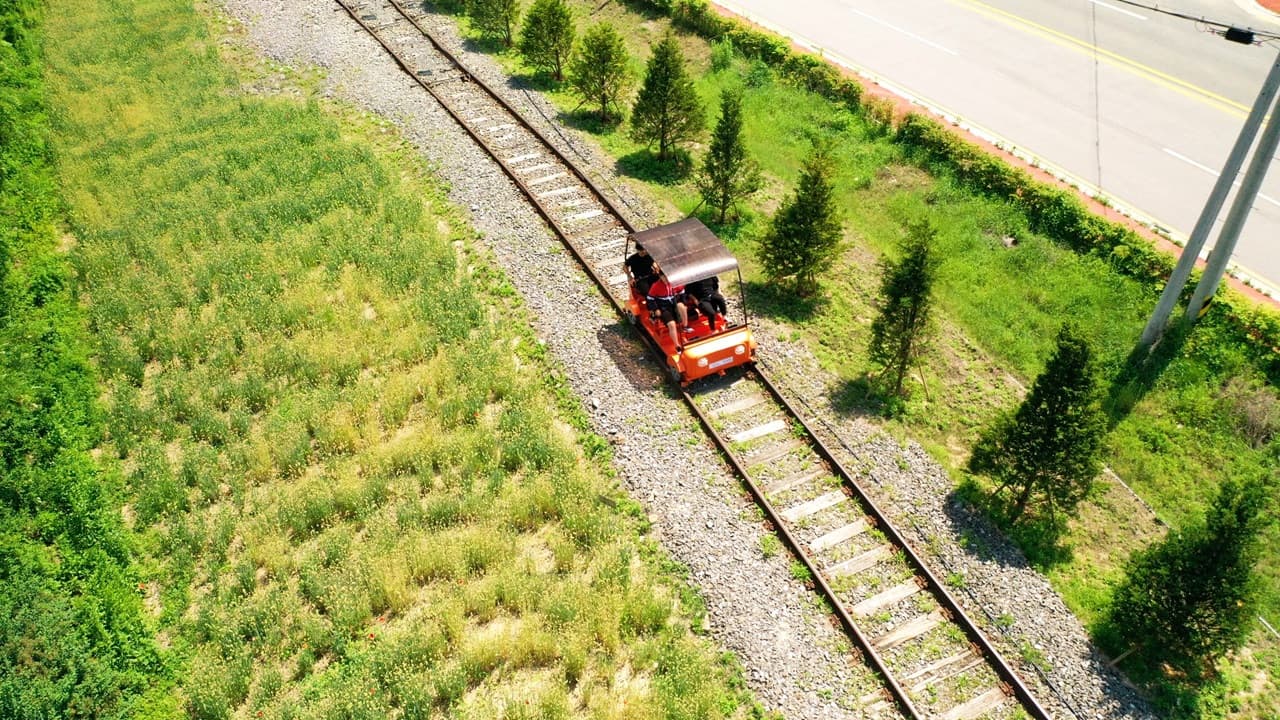 Nami Island, Mount Seorak, and Gapyeong Rail Bike Full-Day Tour from Seoul - تصویر 20