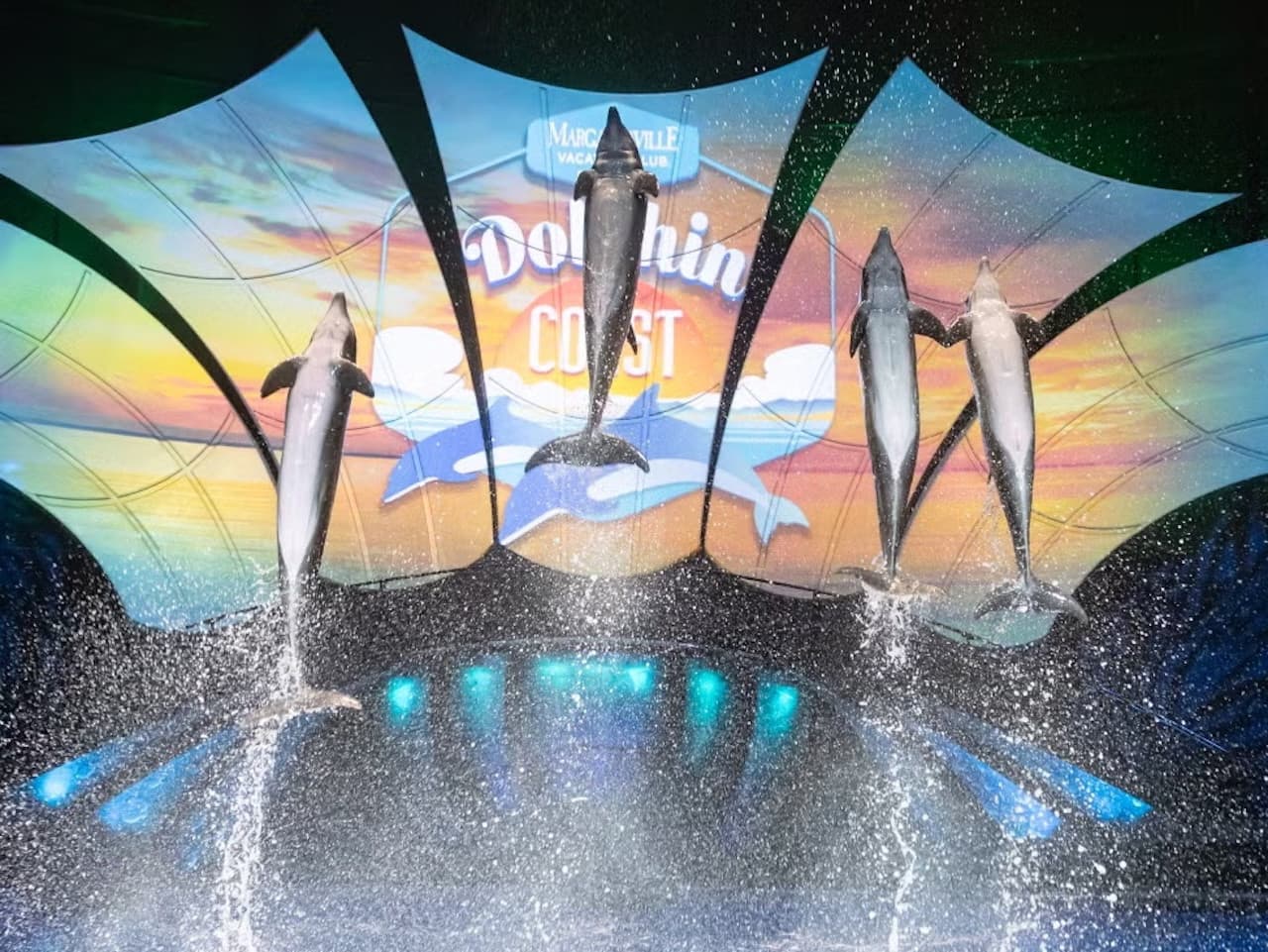 Georgia Aquarium: Fast Track Ticket - تصویر 5