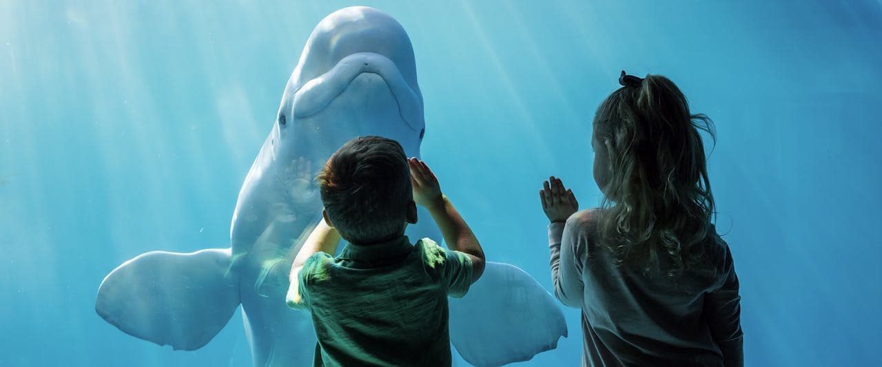 Chicago CityPASS: Admission to 5 Top Attractions - تصویر 2