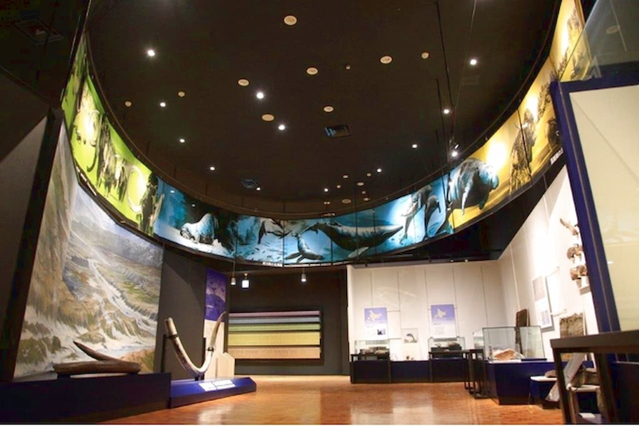 Hokkaido Museum Ticket - تصویر 12