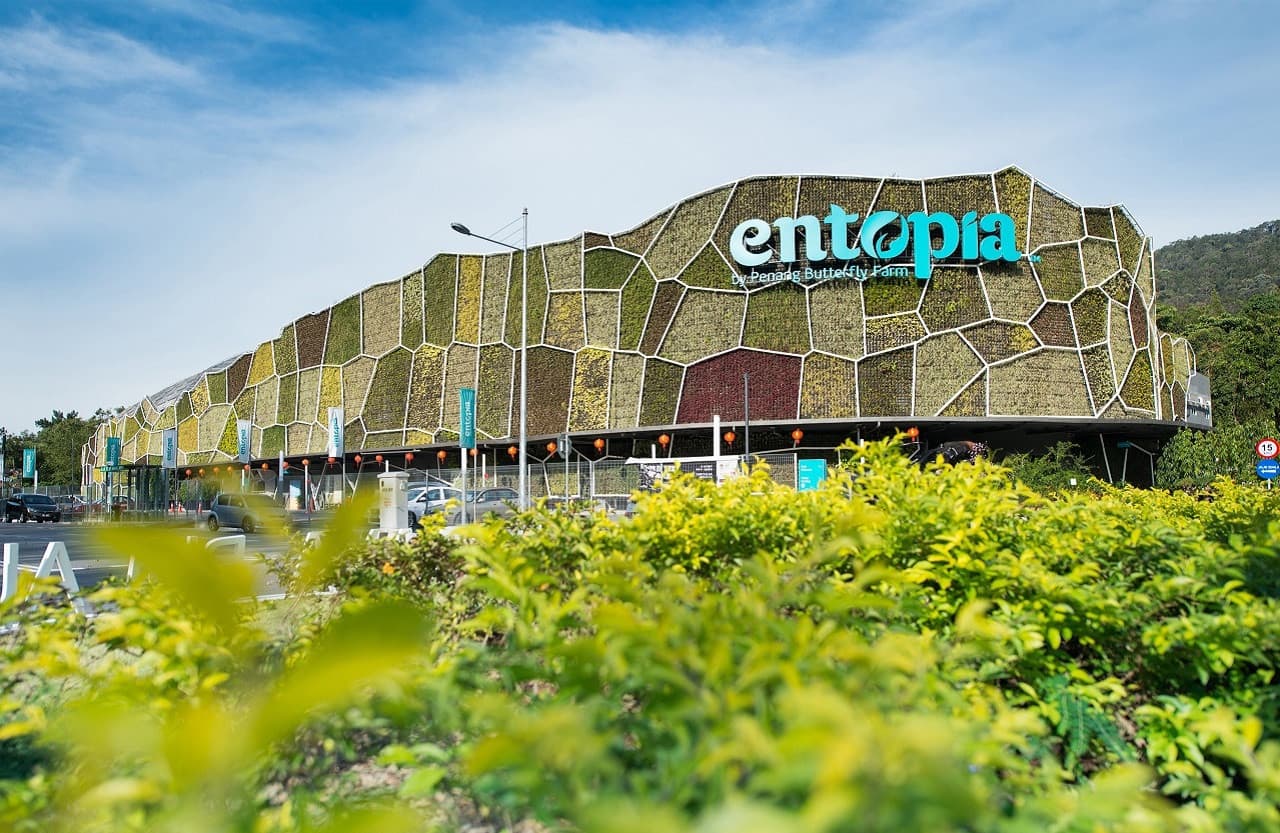 Entopia by Penang Butterfly Farm Ticket - تصویر 2