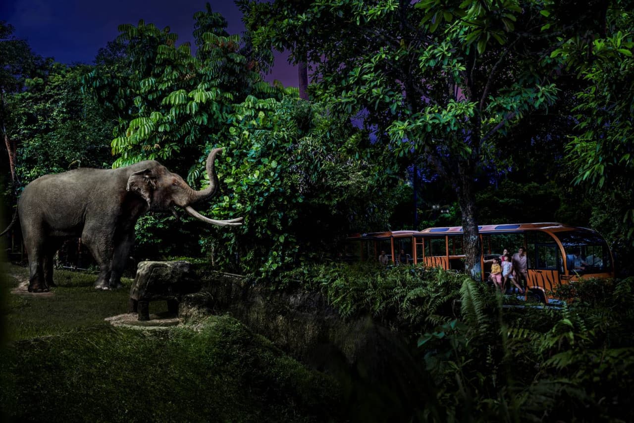 Mandai Destination Pass: Visit Up to 6 Attractions in 1 or 5 Days - تصویر 13