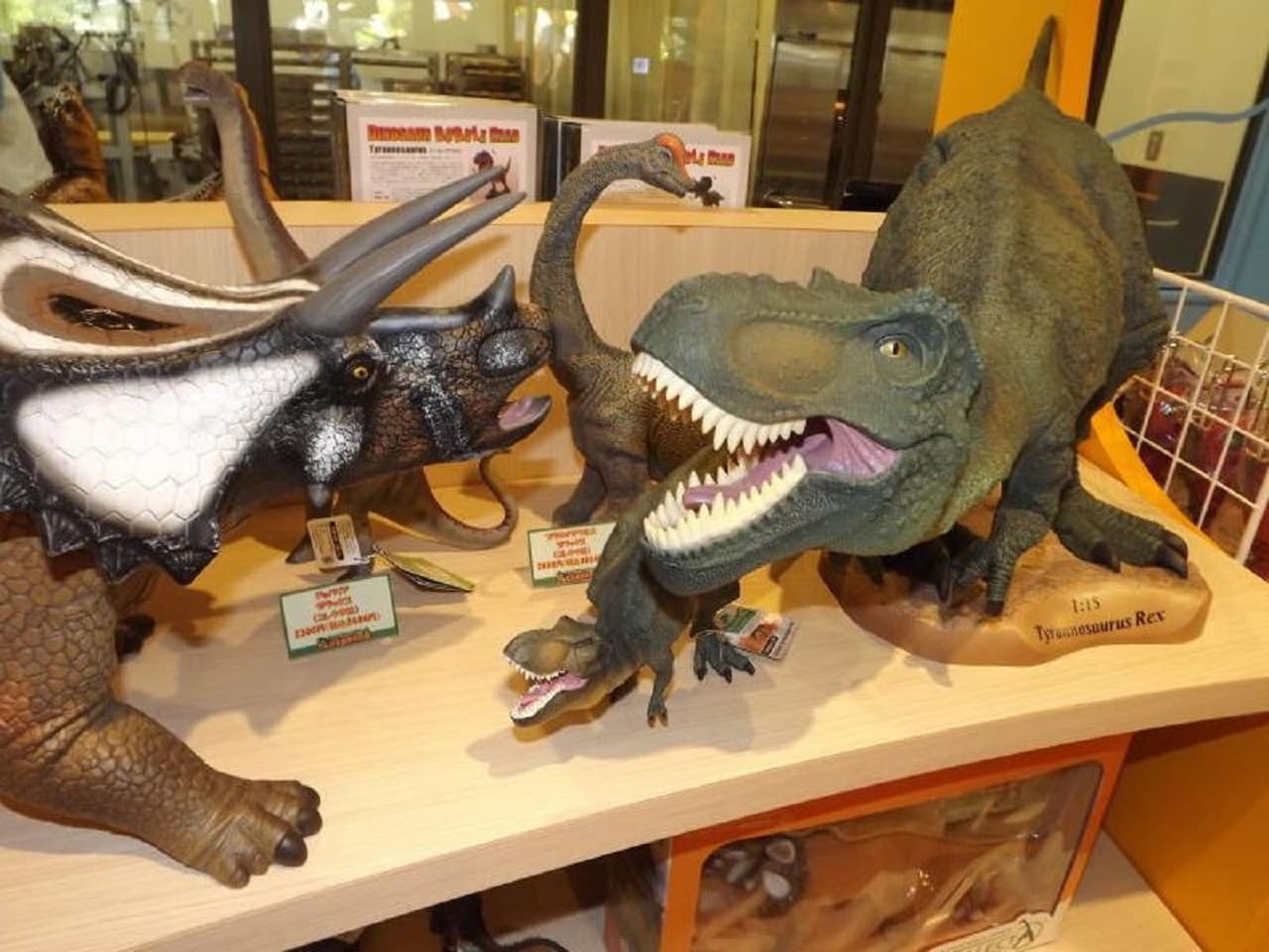 Okinawa Dino Park Yanbaru Subtropical Forest Ticket - تصویر 12