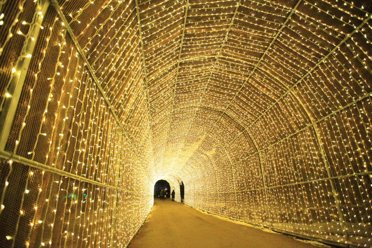 Nami Island and Garden of Morning Calm Tour from Seoul - تصویر 9