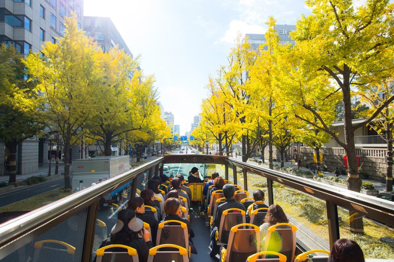 Osaka Sky Vista or Nani Wonder Sightseeing Bus Tour - تصویر 3