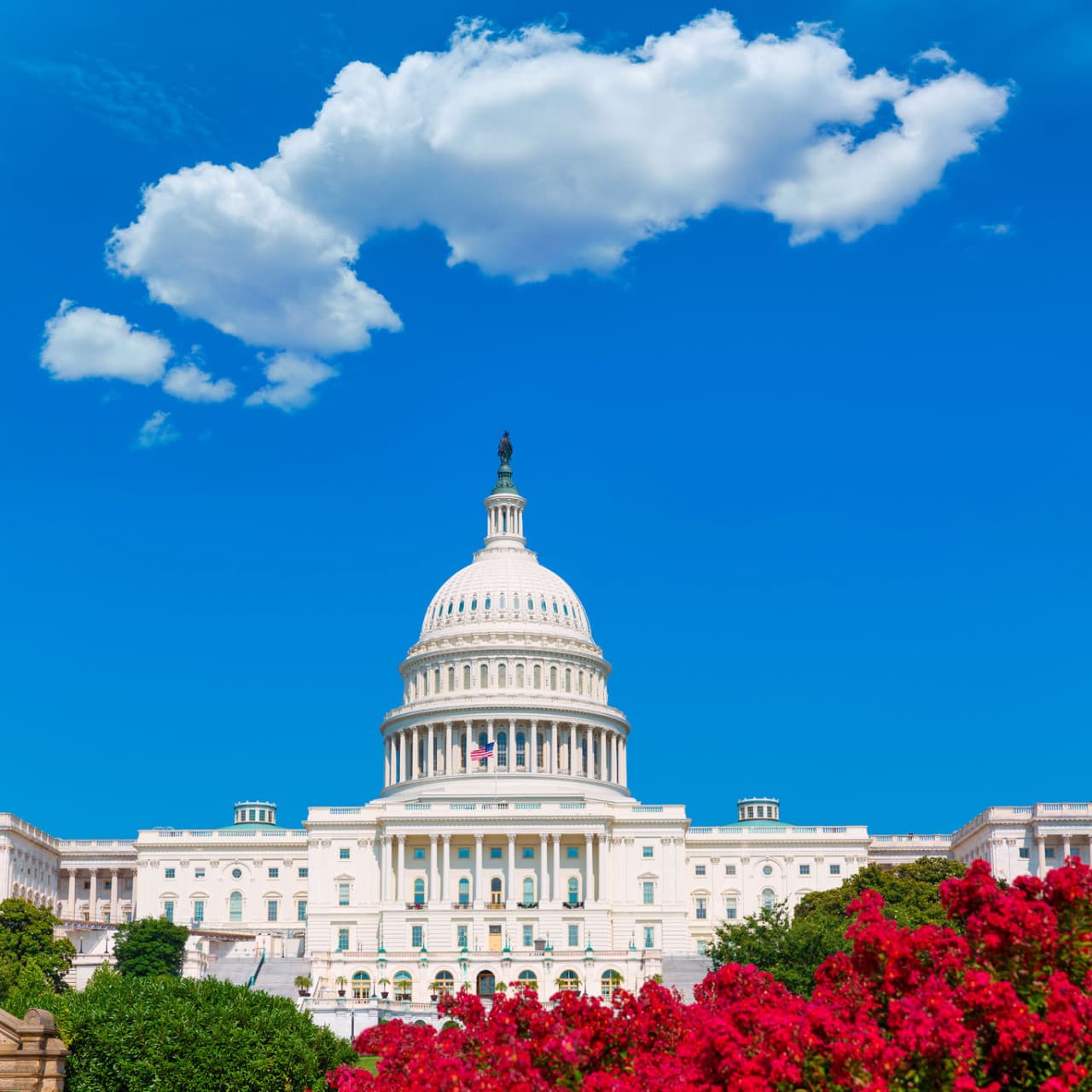 Washington DC and Philadelphia Tour from New York - تصویر 5