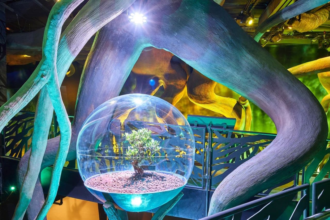 Expo City Dubai Ticket - تصویر 8