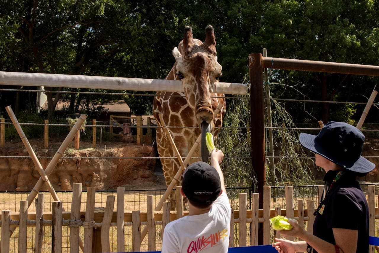 Zoo Atlanta Entry Ticket - تصویر 6