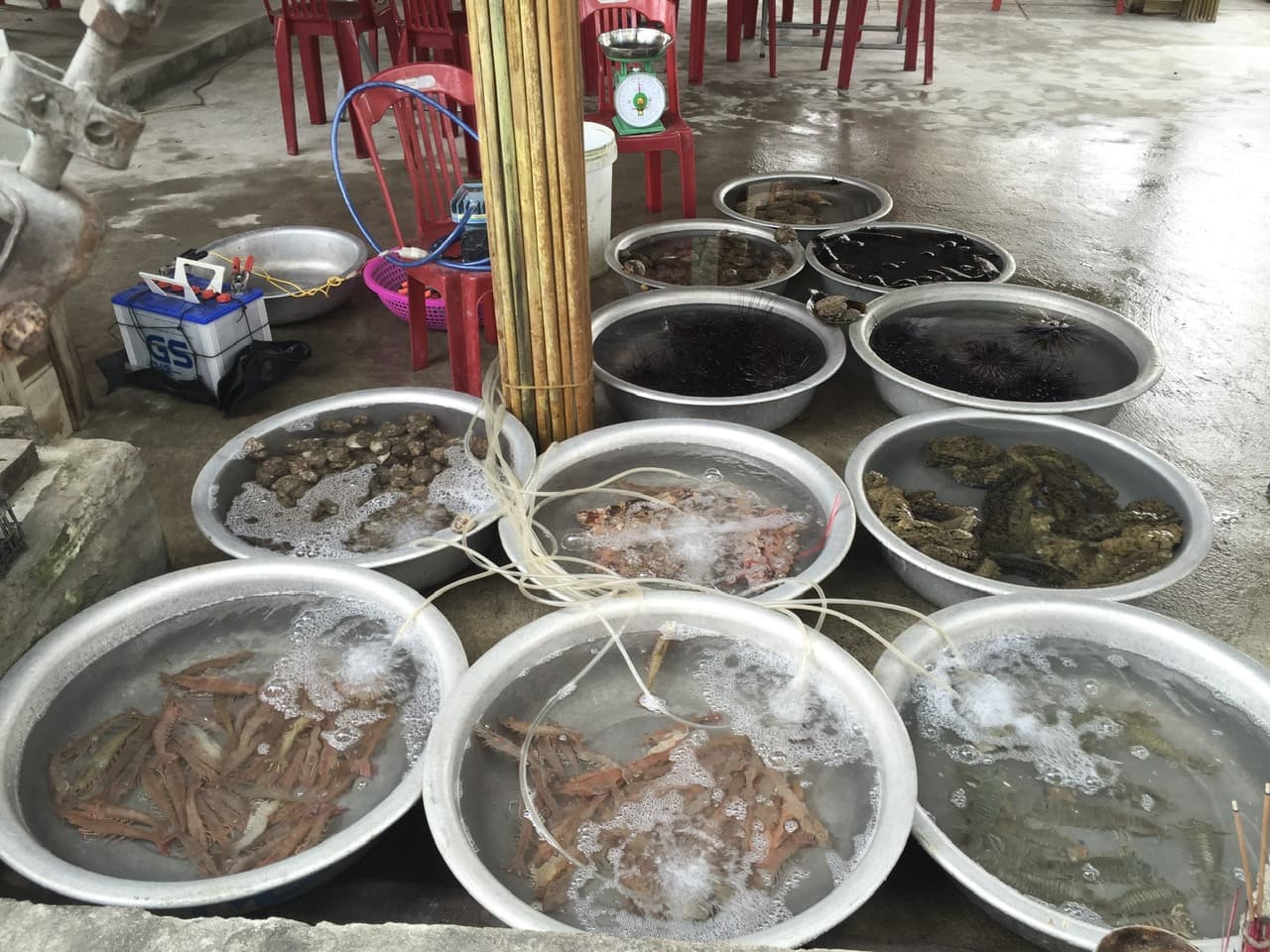Cham Island Tour from Da Nang - تصویر 9