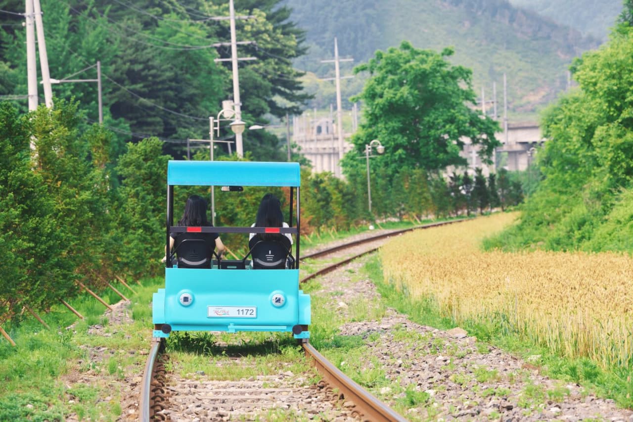 Alpaca World, Nami Island, and Garden of Morning Calm Tour from Seoul - تصویر 4