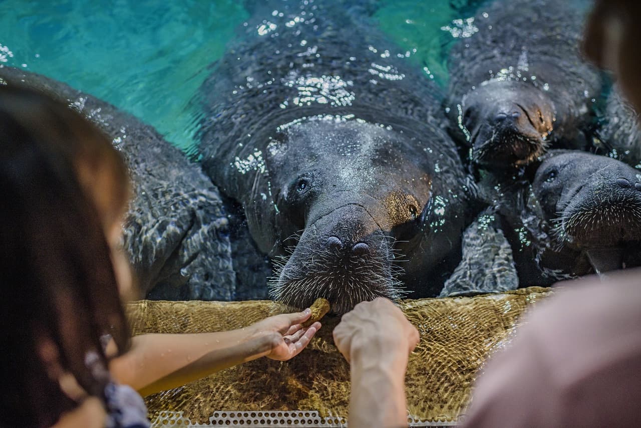 River Wonders Singapore Ticket - تصویر 5