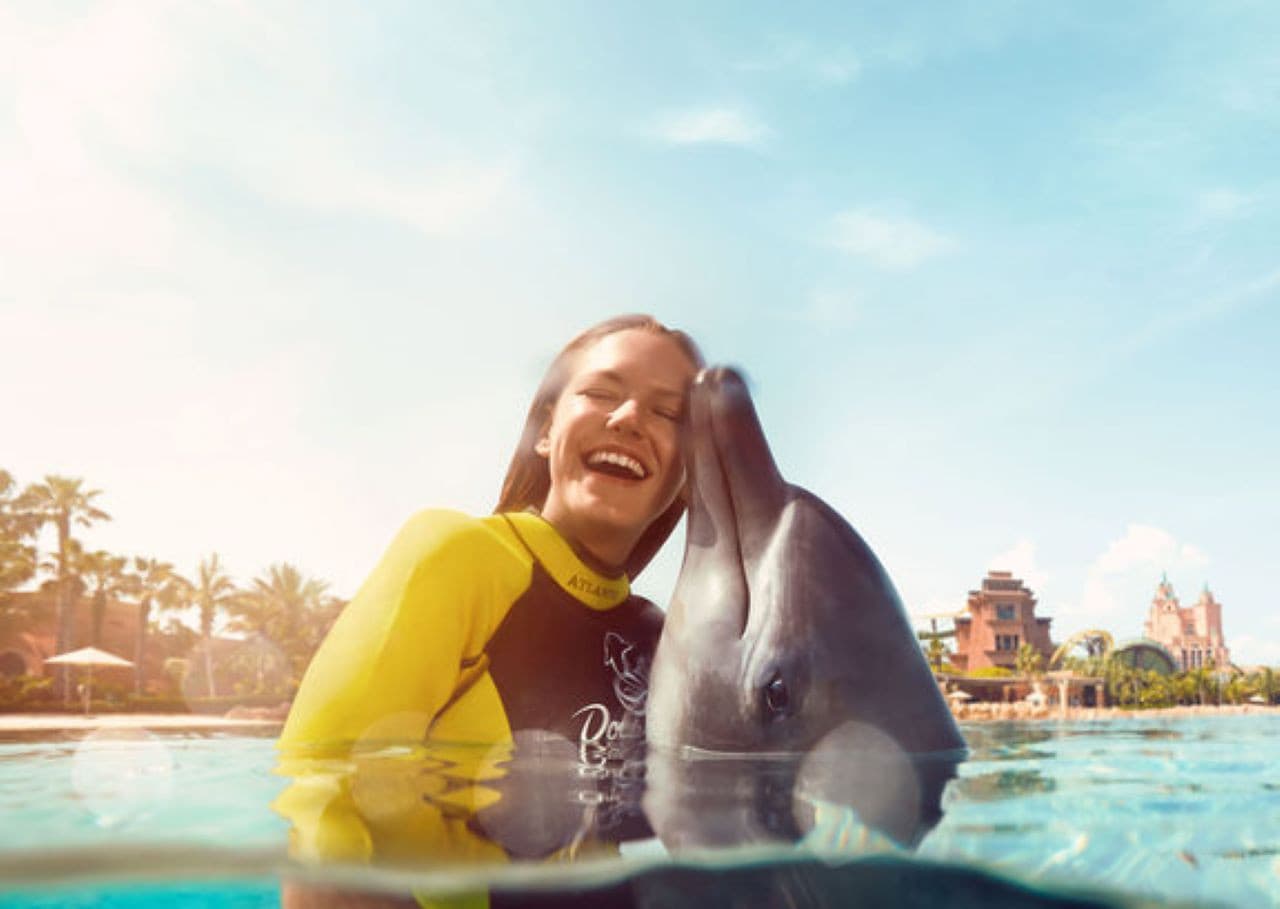 Atlantis Aquaventure World Dubai - Dolphin and Sea Lion Experiences at Atlas Village - تصویر اصلی