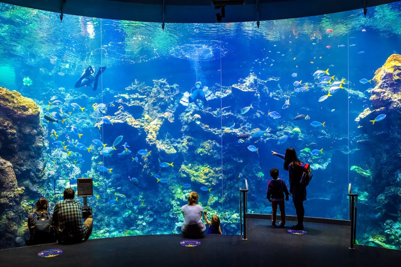 California Academy of Sciences Ticket - تصویر 5