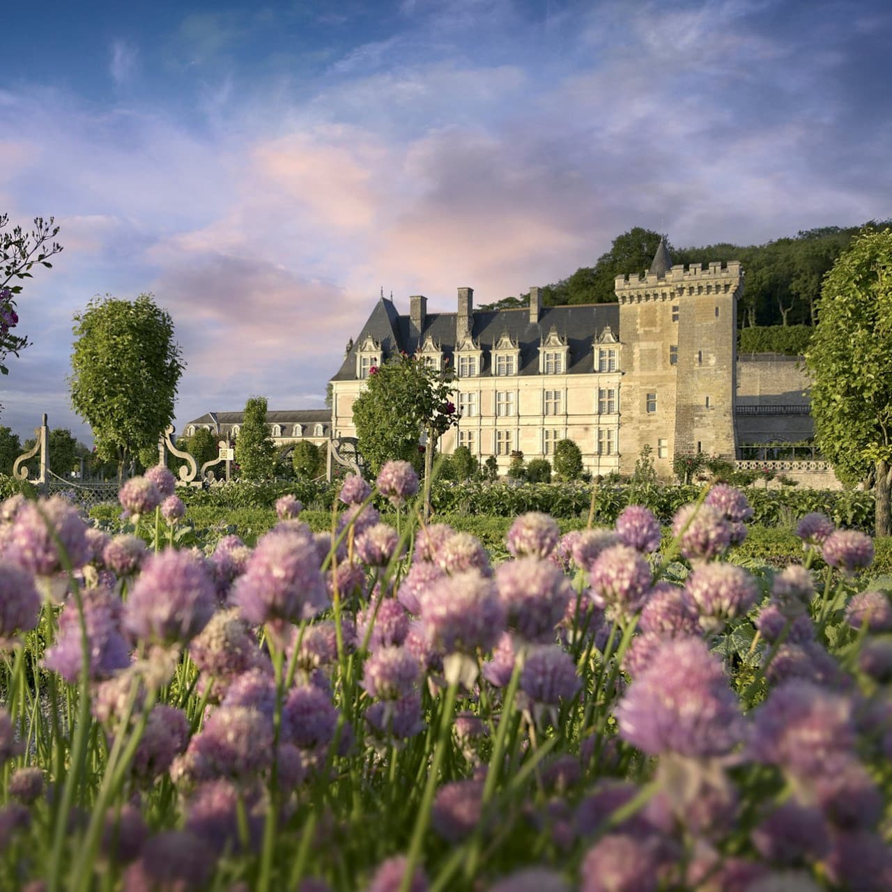 Château de Villandry Ticket - تصویر اصلی
