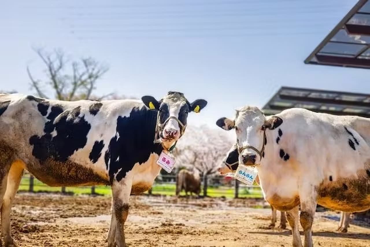 Narita Dream Farm Ticket - تصویر اصلی