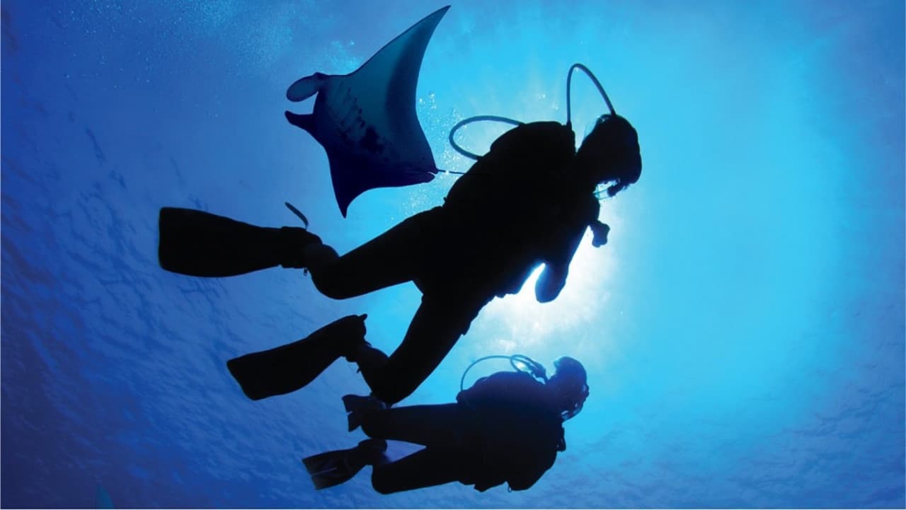 Ultimate Marine Life Experience at Adventure Cove Waterpark - تصویر 4