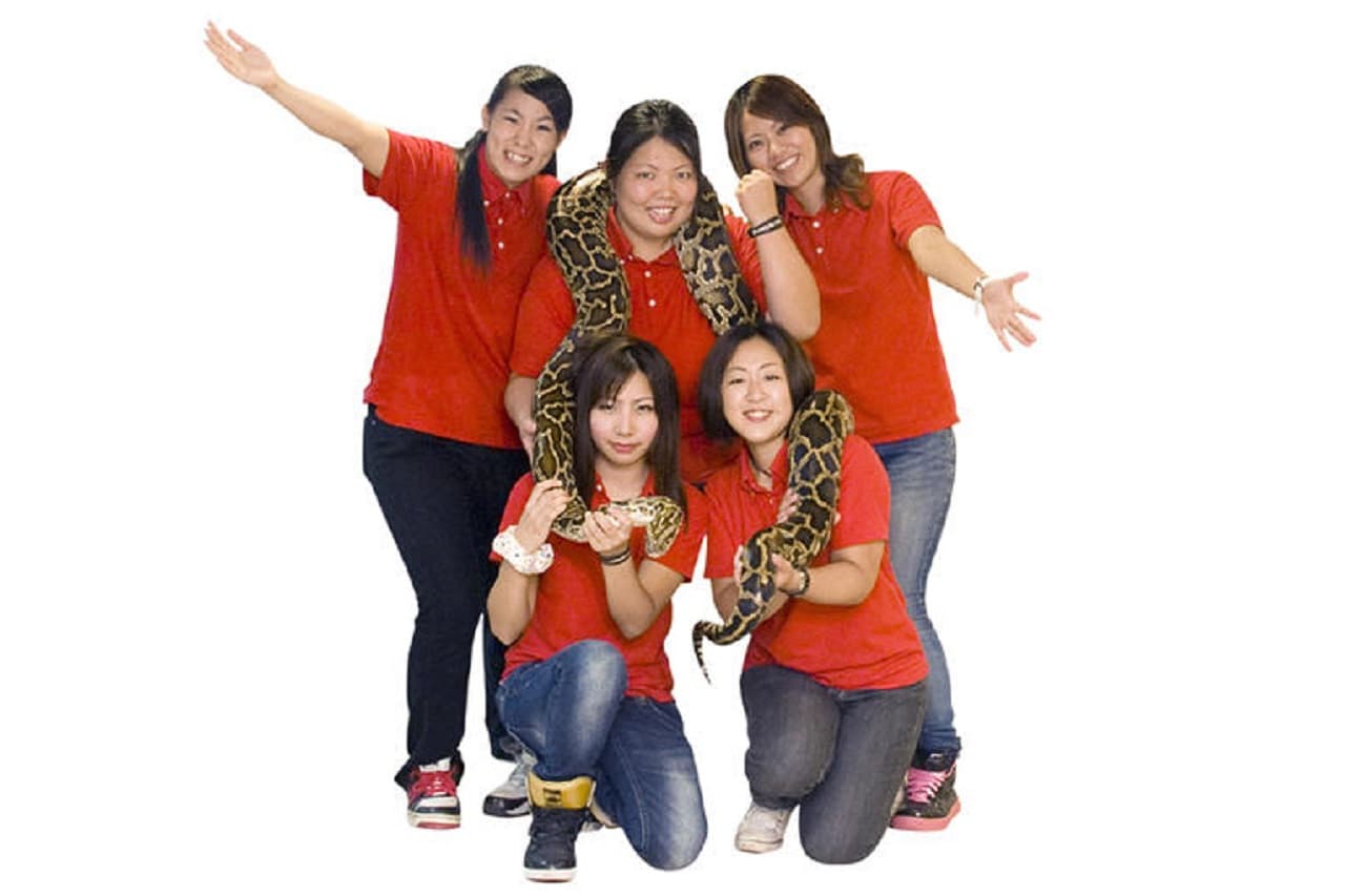Okinawa World Pass - تصویر 15