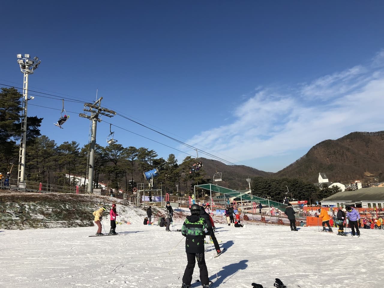 Jisan Forest Ski Resort Full-Day Tour from Seoul - تصویر 7